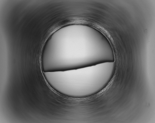 X0000097991425200803241012