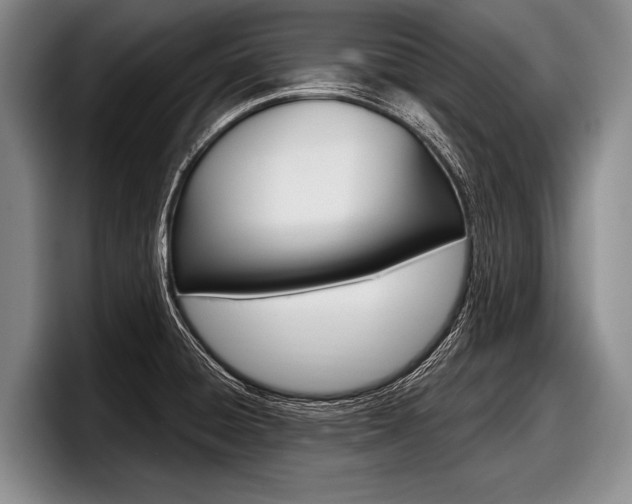 X0000097991428200803241013