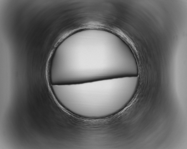 X0000097991429200803241013