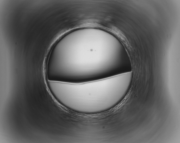 X0000097991430200803241013