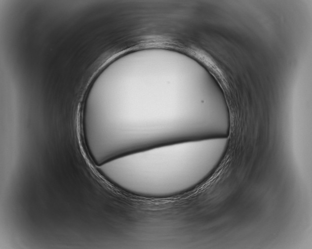 X0000097991431200803241013