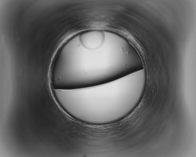 X0000097991432200803241013