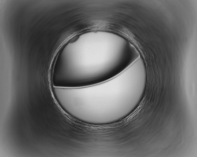 X0000097991434200803241013