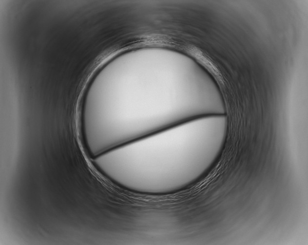 X0000097991439200803241013