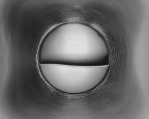 X0000097991440200803241013