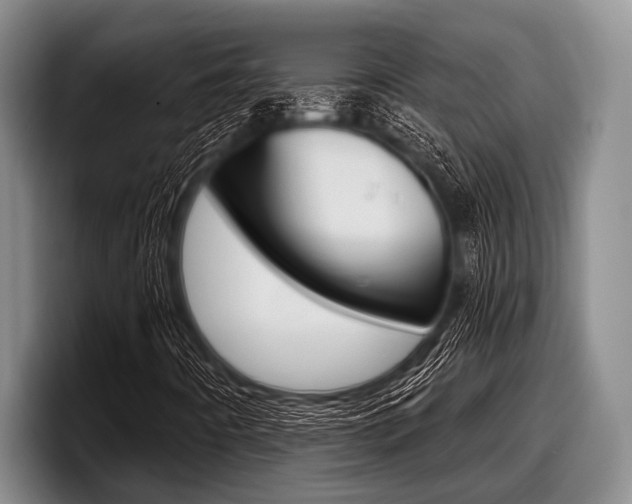 X0000097991442200803241012