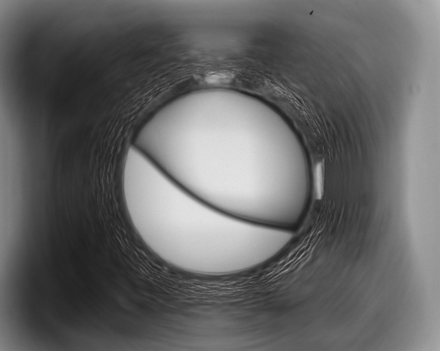 X0000097991443200803241012