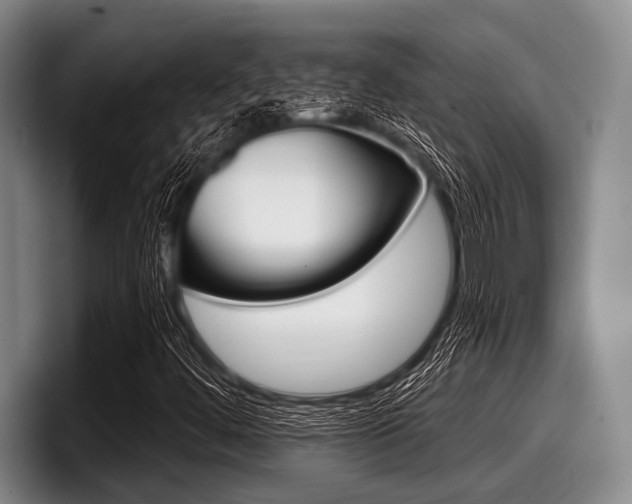 X0000097991444200803241012