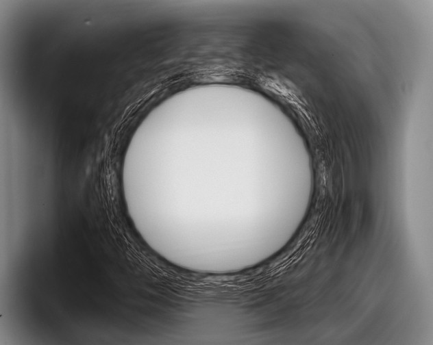 X0000097991446200803241012