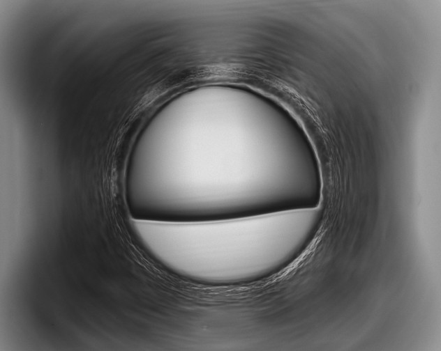 X0000097991449200803241012