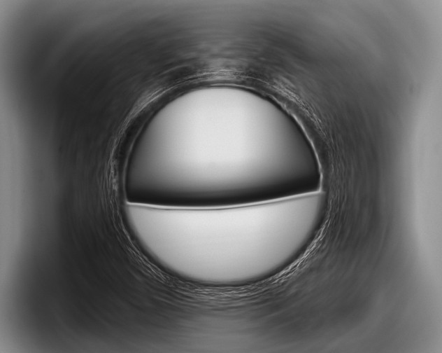 X0000097991450200803241012