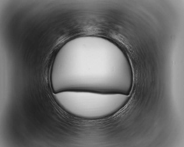 X0000097991451200803241012