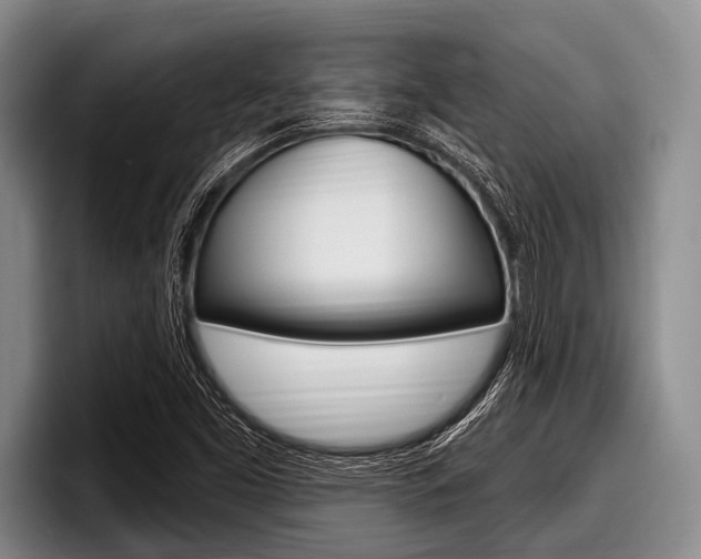 X0000097991453200803241012