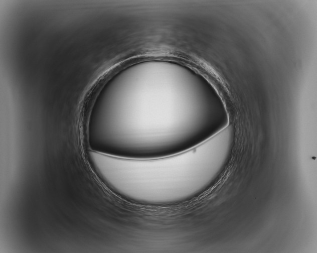 X0000097991456200803241012