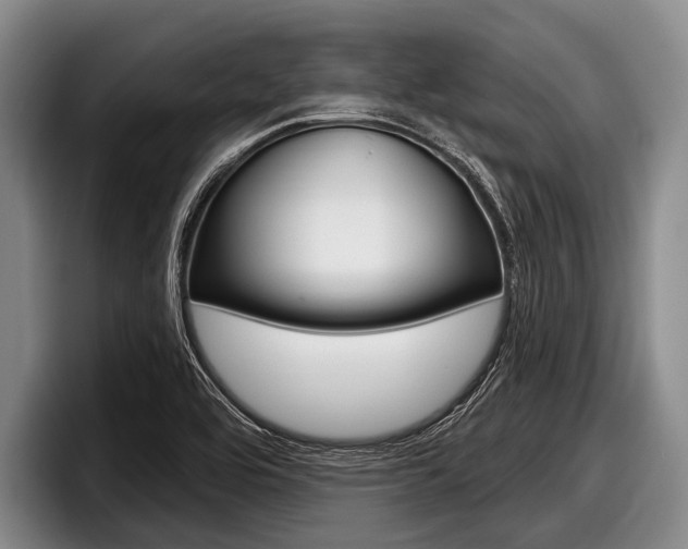 X0000097991464200803241012