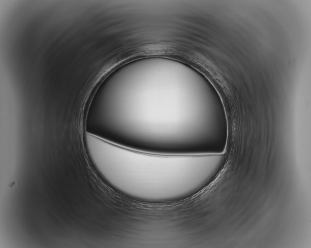 X0000097991465200803241012