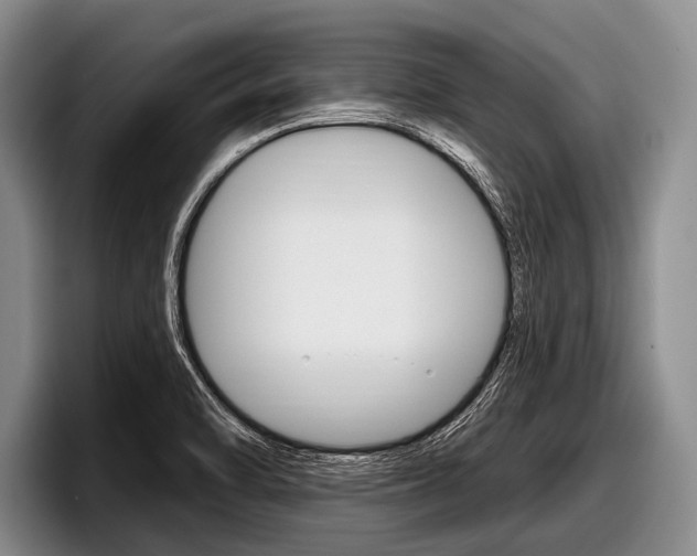 X0000097991470200803241012