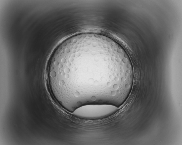 X0000097991471200803241012