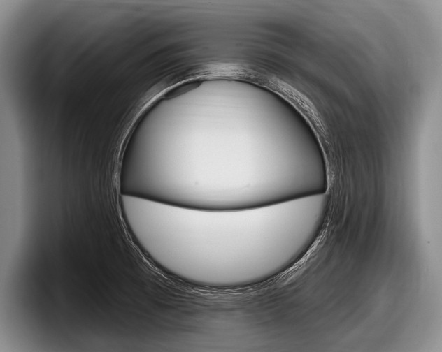 X0000097991473200803241012