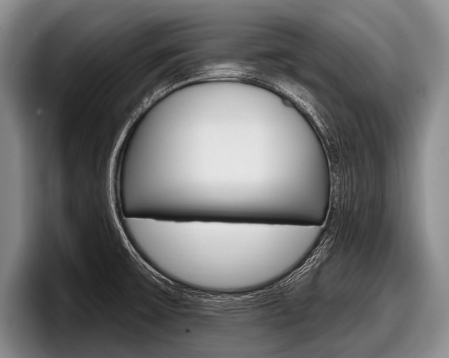 X0000097991475200803241012