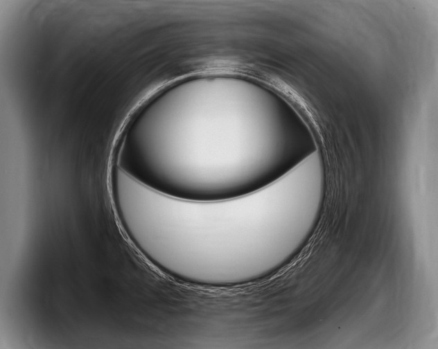 X0000097991480200803241012