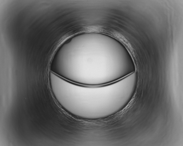 X0000097991481200803241012