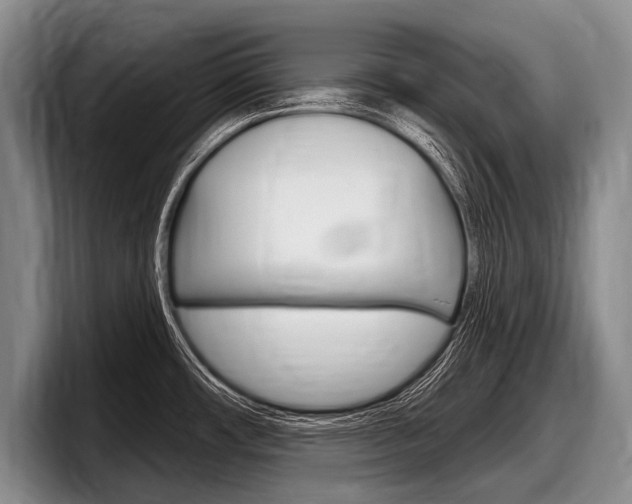 X0000097991482200803241012