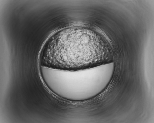 X0000097991483200803241012