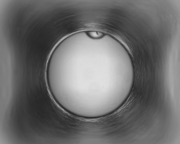 X0000097991484200803241012