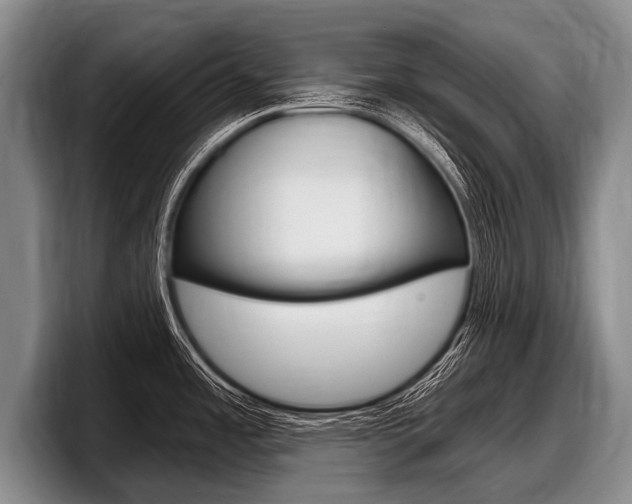 X0000097991485200803241011
