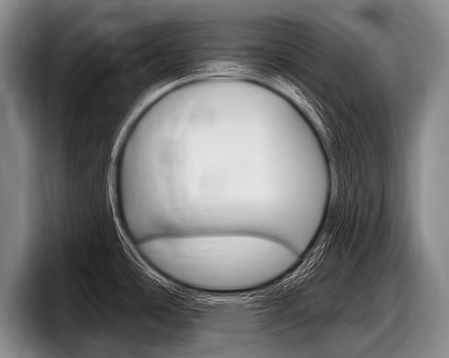 X0000097991486200803241011