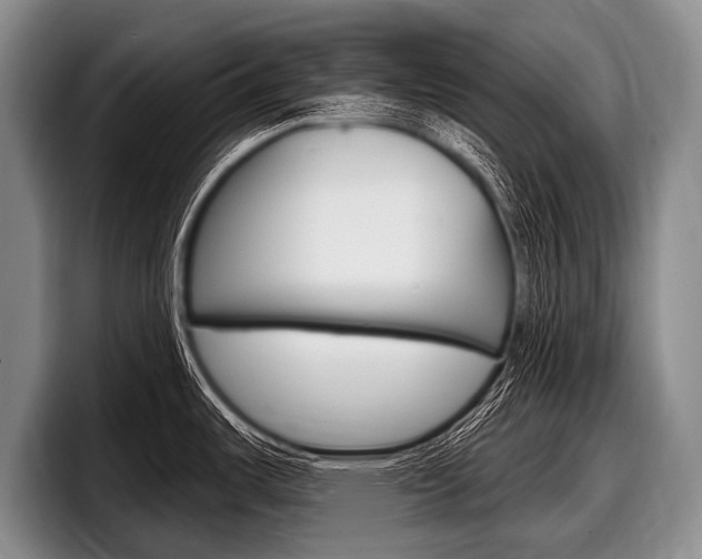 X0000097991487200803241011