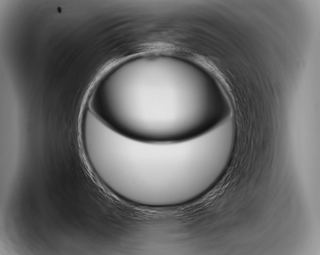 X0000097991488200803241011