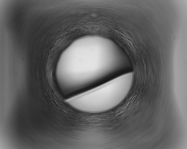 X0000097991489200803241011