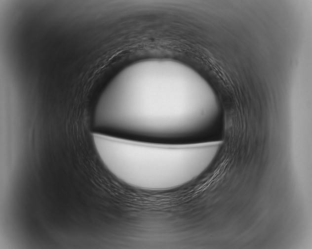 X0000097991490200803241011