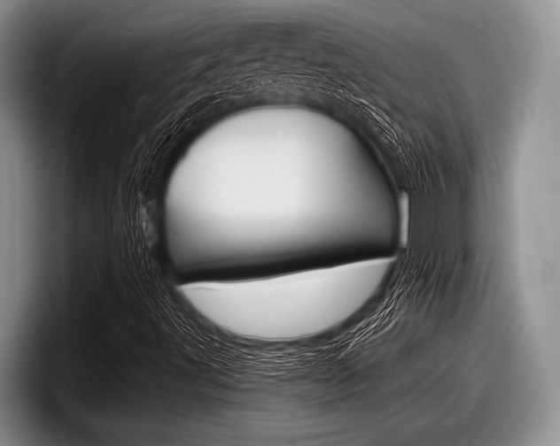 X0000097991491200803241011
