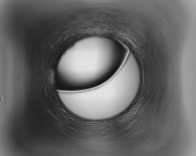 X0000097991492200803241011