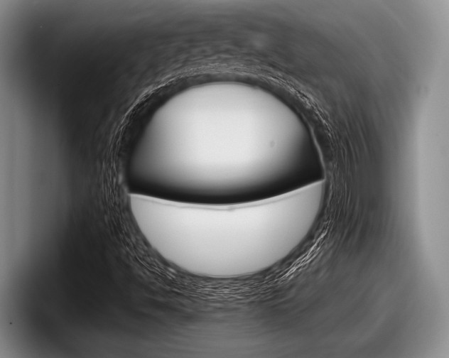 X0000097991494200803241011