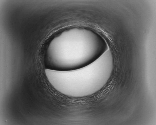 X0000097991496200803241011