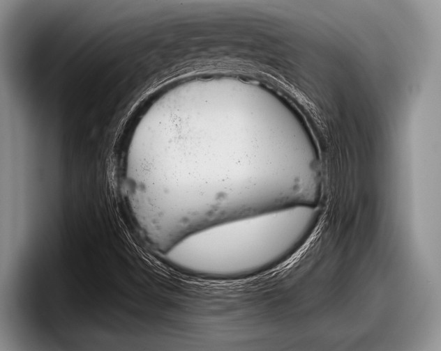 X0000097991498200803241011