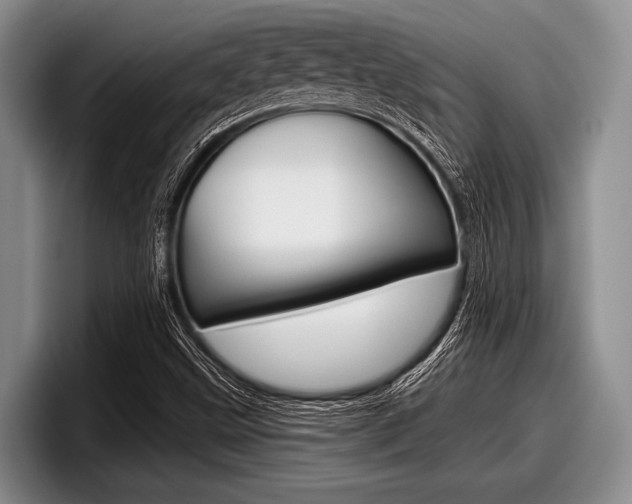 X0000097991499200803241011