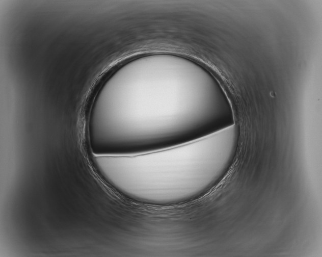 X0000097991507200803241011