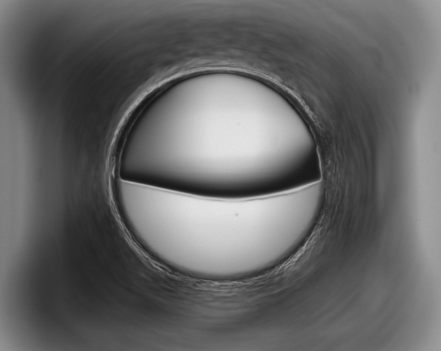 X0000097991511200803241011