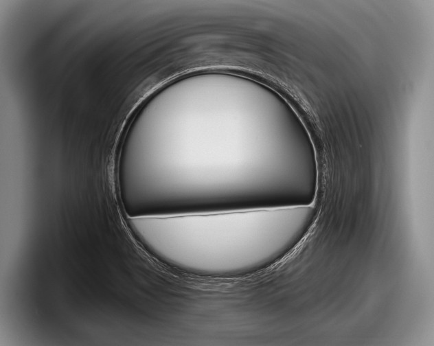 X0000097991513200803241011