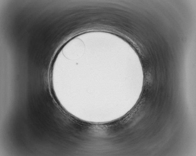 X0000097991514200803241011