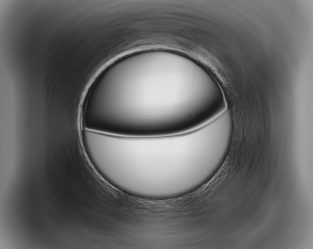 X0000097991516200803241011