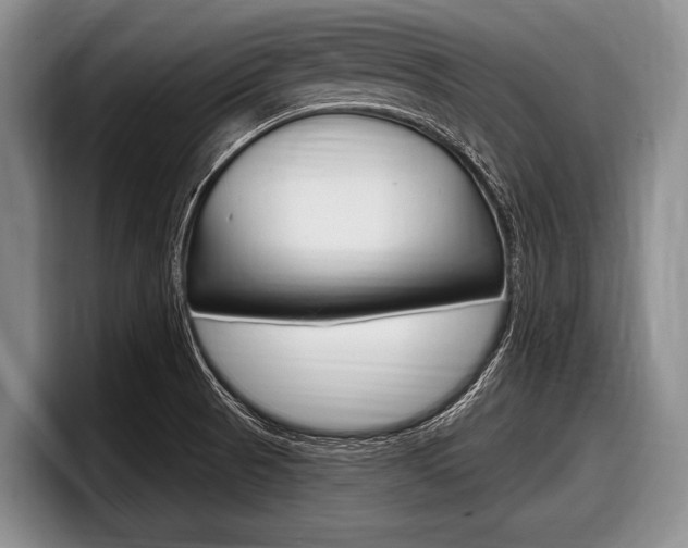 X0000097991521200803241011