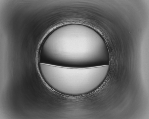 X0000097991523200803241011