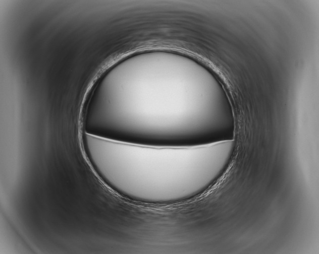 X0000097991525200803241011