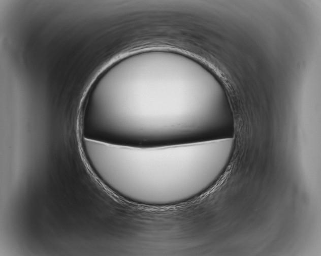 X0000097991526200803241011